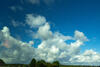  B004905cor